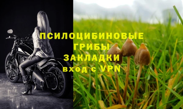 молекула духа Нея