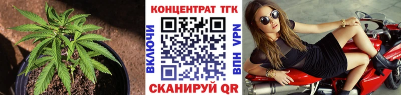 купить   Кирс  ТГК концентрат 