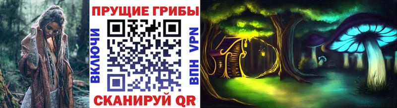 Псилоцибиновые грибы мицелий где купить Кирс