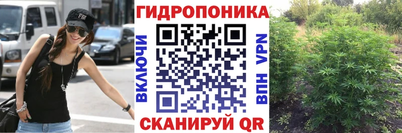 Каннабис план  Кирс 